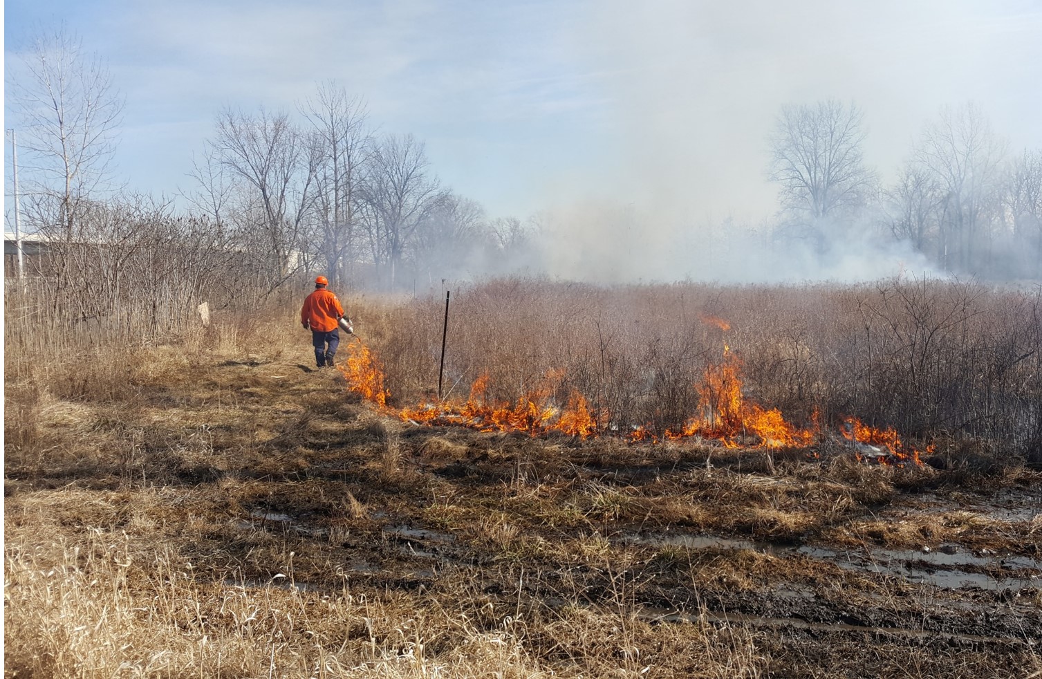 Conducting prescribed burns on the landscape 